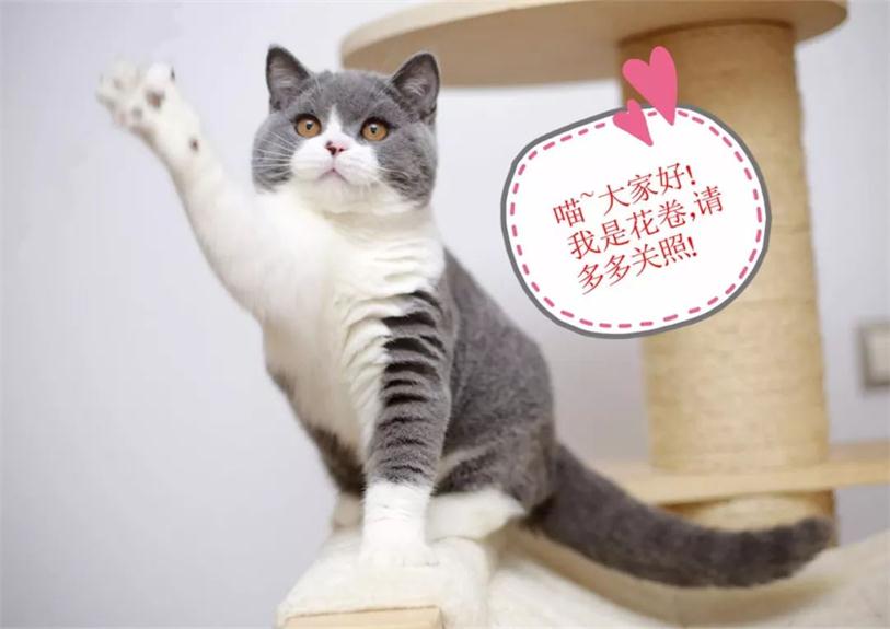 640 (1)_看图王.web.jpg