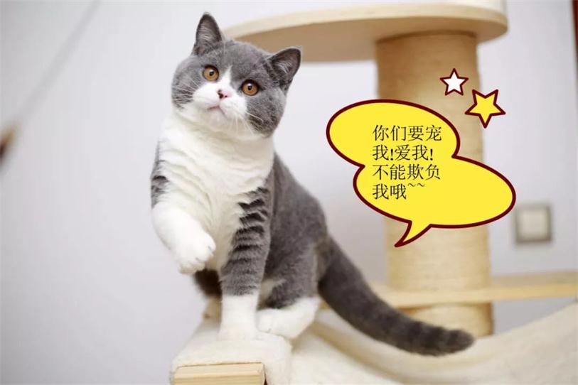 640 (2)_看图王.web.jpg