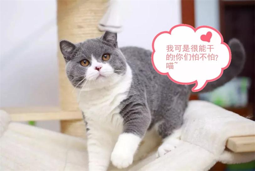 640 (3)_看图王.web.jpg