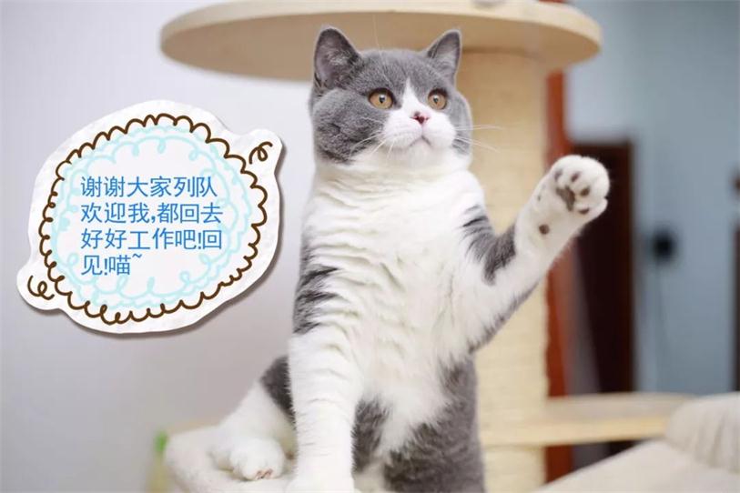 640 (4)_看图王.web.jpg