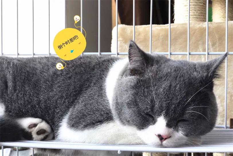 640 (5)_看图王.web.jpg